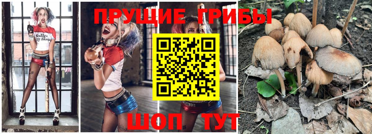 Псилоцибиновые грибы MAGIC MUSHROOMS Рыбинск