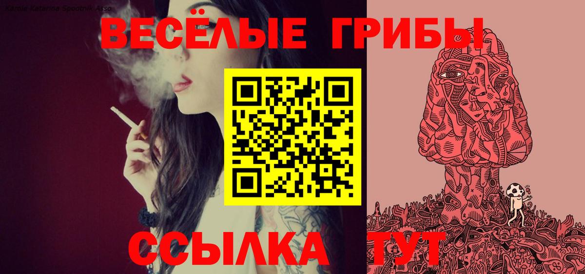 Галлюциногенные грибы Psilocybine cubensis  Вход с VPN  Рыбинск 