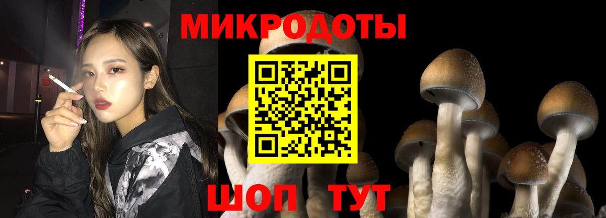 Галлюциногенные грибы Psilocybine cubensis  Рыбинск 