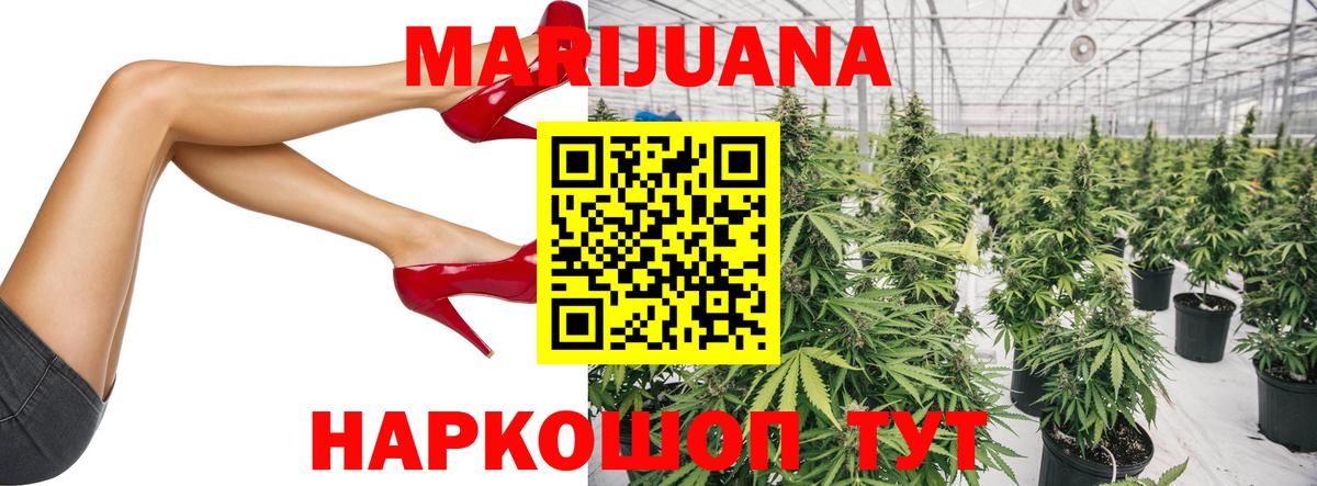 Бошки Шишки MAZAR  Бошки марихуана гибрид  Шишки марихуана план  Рыбинск  Бошки Шишки семена 